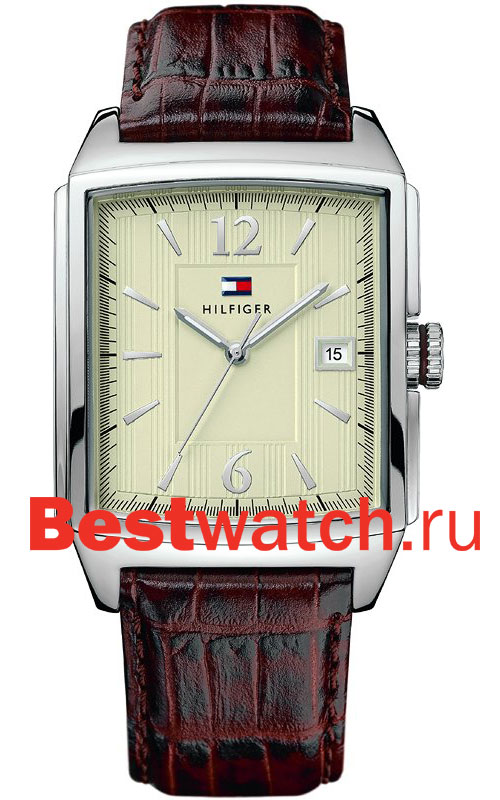 Часы Tommy Hilfiger Flagstaff 1710280
